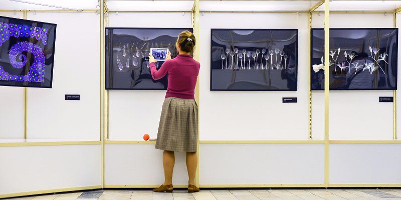Эволюционные процессы и тайны генетики раскроют на выставке «Мыши и гены»
