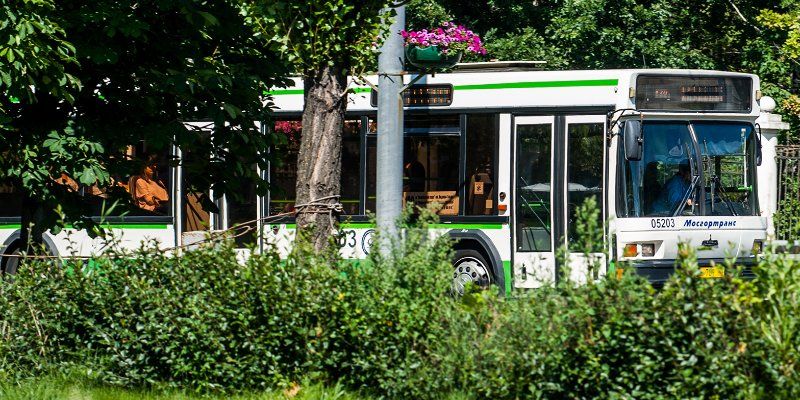 Два автобуса в ТиНАО изменят маршрут 3 июня