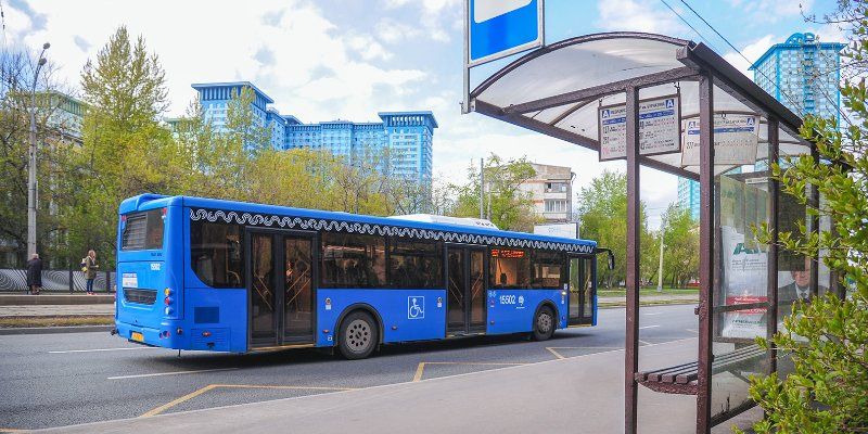Как начнут работать автобусы № 241 и 420 с 11 августа