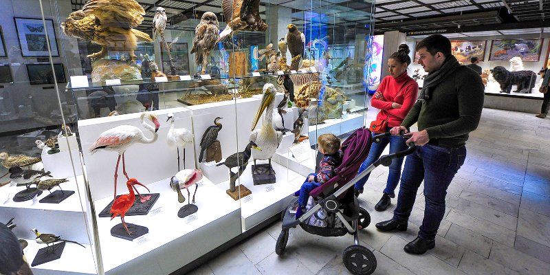Какие музеи будут работать бесплатно в праздники