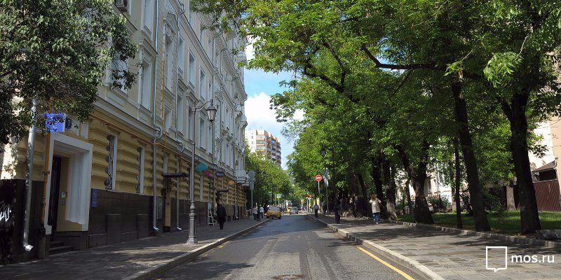 Москвичи могут подать онлайн-жалобу на неухоженные деревья и газоны вдоль дорог