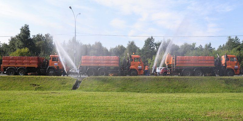 Мыльный душ и обильный полив: как ухаживают за деревьями в жару