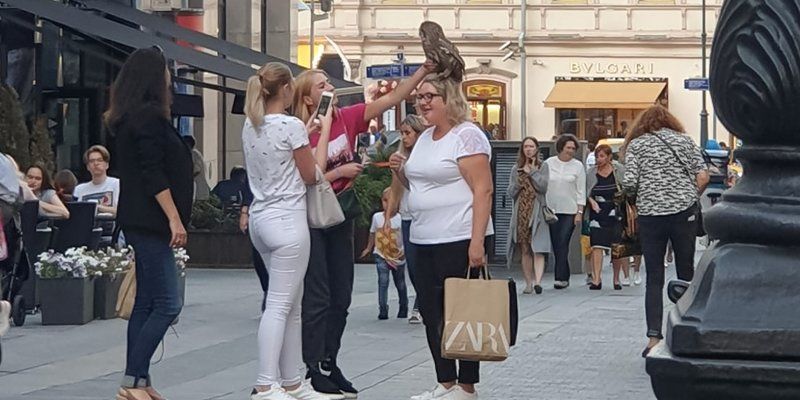 У фотографов в центре Москвы изъяли сов, занесенных в Красную книгу России