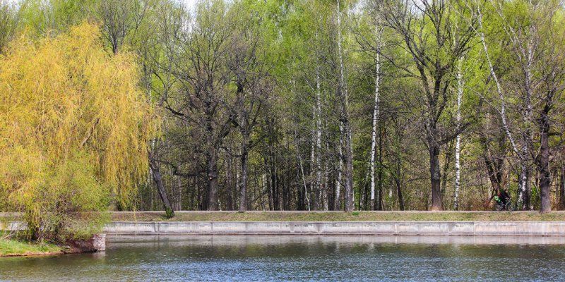 Мосприрода подготовила виртуальную экскурсию по Терлецкому лесопарку