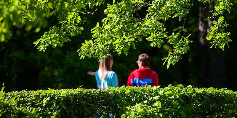 Птицы, растения, водная экосистема: москвичи выберут темы для экскурсий в Измайловском парке