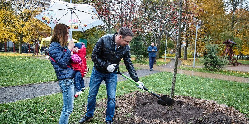 Новая городская традиция: в честь новорожденных в Москве высадили липы