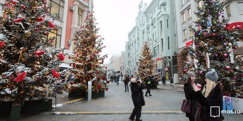 Более 150 живых елей украсят площадки «Путешествия в Рождество»