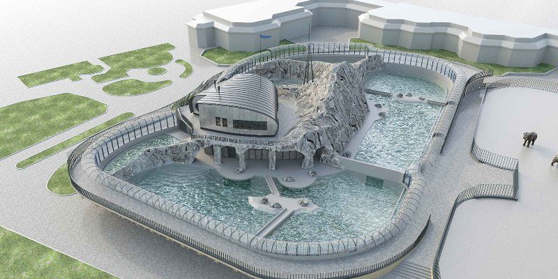 Moscow Zoo to open a new enclosure for walruses and seals