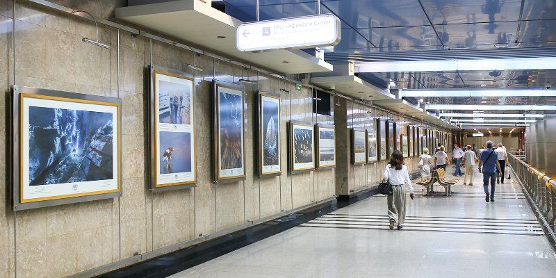 Арктические льды и северное сияние: о чем расскажет новая фотовыставка на станции метро «Выставочная»