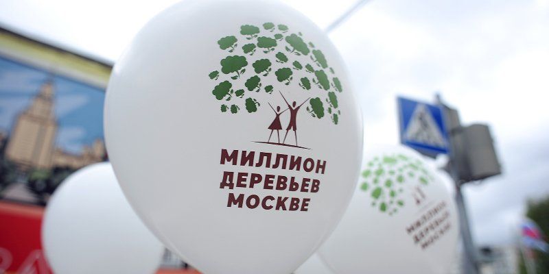 Ель, черемуха и кизильник: какие еще растения высадят во время акции «Миллион деревьев»