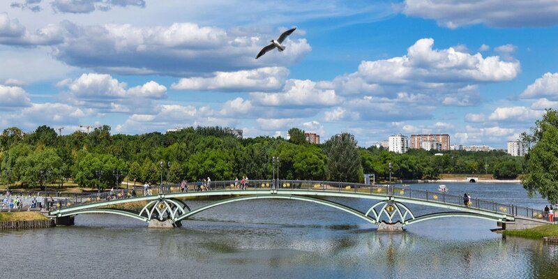 Посмотреть на лебедей и русскую Венецию в садах: создан виртуальный гид по парковым прудам
