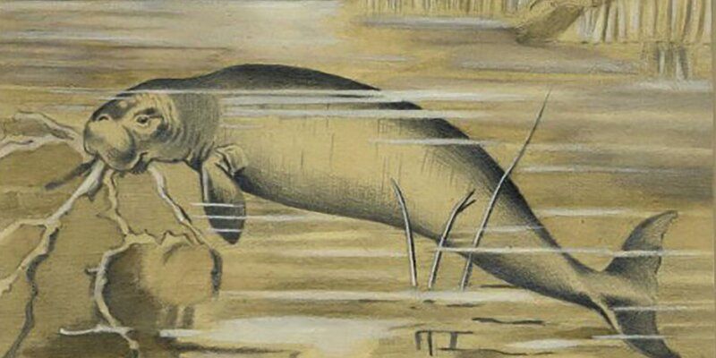Disappeared animals. Four case studies from the Biological Museum