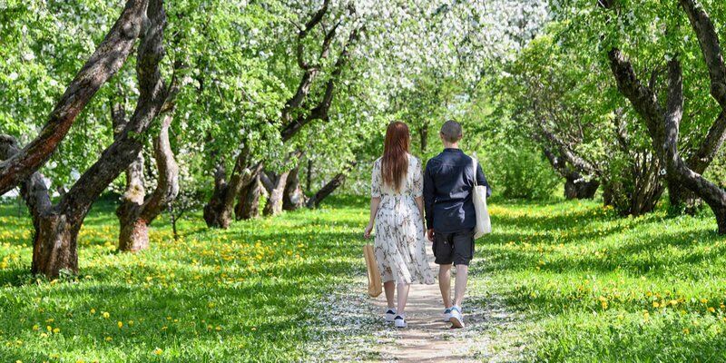 Сезон садов: в каких московских парках скоро зацветут яблони и сирень