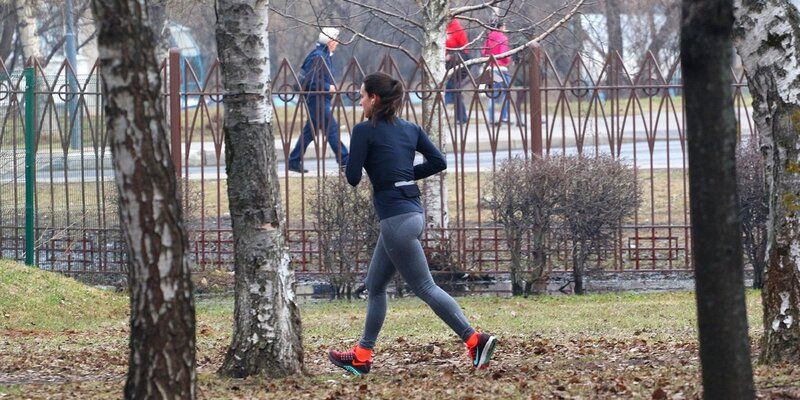 Бег трусцой на свежем воздухе и уборка мусора: парки и усадьбы приглашают на «Культурный плоггинг»