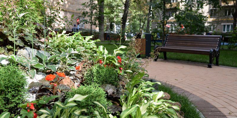 Цветы в городе: более 30 тысяч кустов хосты высадили в столице в этом году