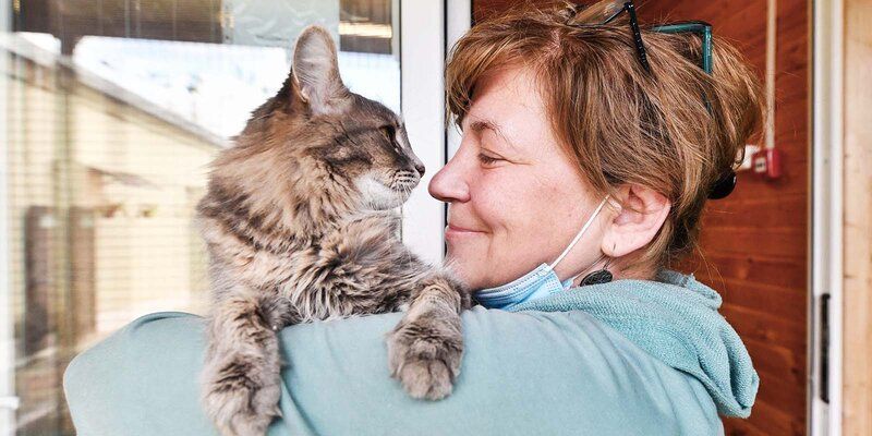 В Москве заработал круглосуточный контакт-центр для владельцев домашних животных