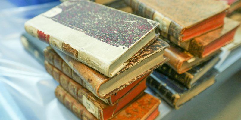 Сарамаго, Булгаков, Гоголь: любимые книги Владимира Панкова