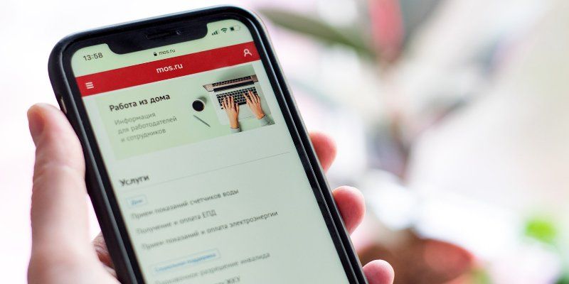 Легкие страницы: работа с разделами mos.ru со смартфонов стала удобнее