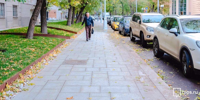 «Активные граждане» решат судьбу опавшей листвы во дворах