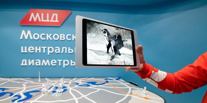 Экспозиция «В мире заблуждений» откроется в павильоне МЦД в День российской науки