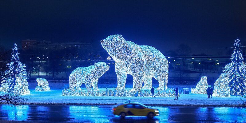 Умка вернулся: «Полярные медведи» снова украсят проспект Мира