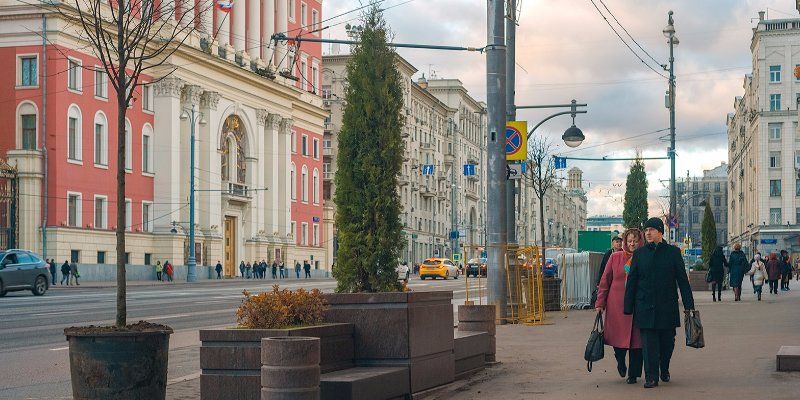 На Тверскую улицу может вернуться липовая аллея