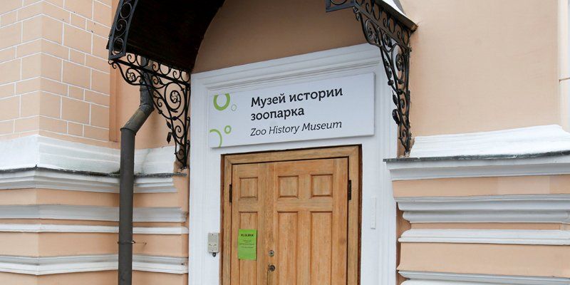 Zoo museum to display mammoth tusks and buffalo sculls