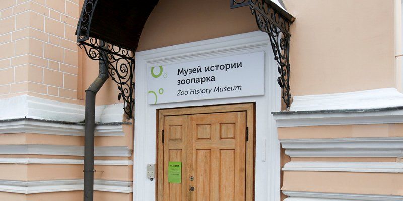 В музее зоопарка покажут бивни мамонтов и черепа бизонов