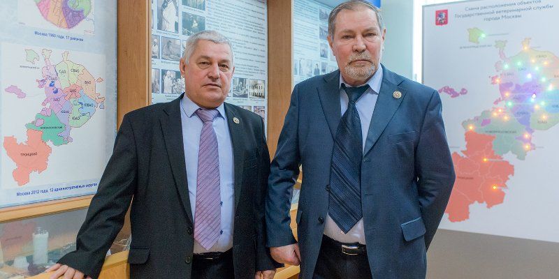 Московские ветеринары — об истории столичной ветслужбы