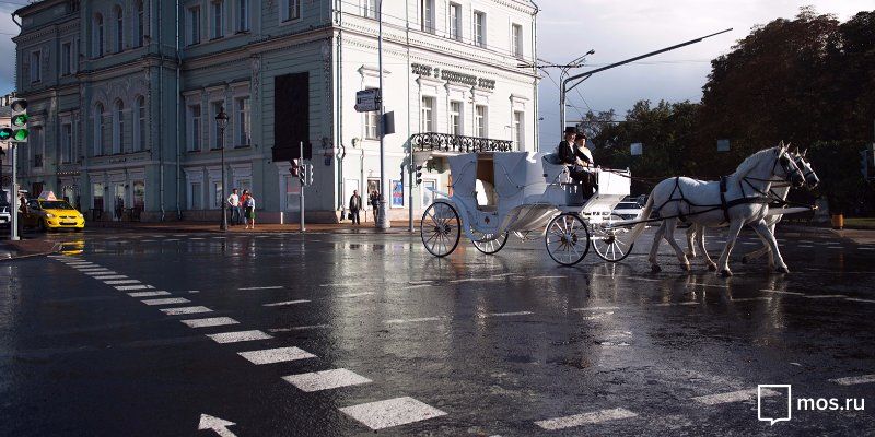 По программе «Моя улица» в Москве создано 60 новых пешеходных переходов