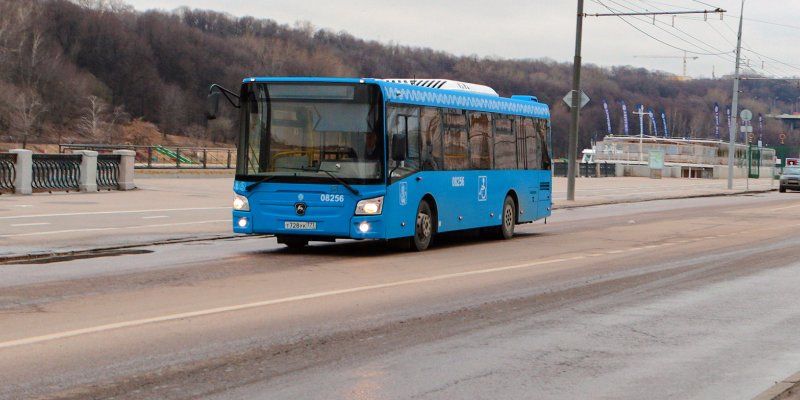 В столице могут открыть еще 50 автобусных маршрутов