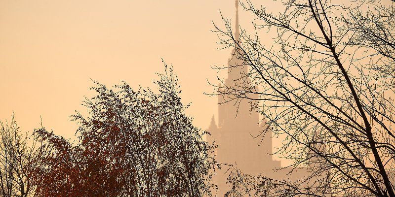 Какая погода ждет москвичей в выходные