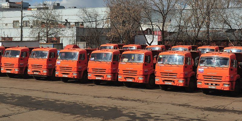 В столице убрали поваленные во время урагана деревья