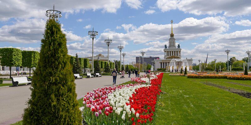 «Ориентир на здоровье»: в Москве пройдет цикл оздоровительно-просветительских прогулок