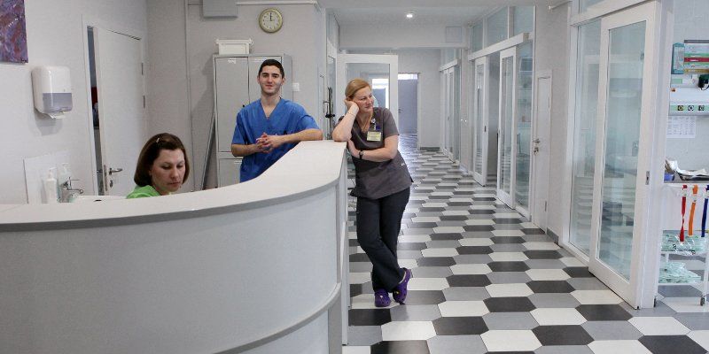 Профилактика и ранняя диагностика: больницы приглашают на лекции и бесплатные обследования в мае