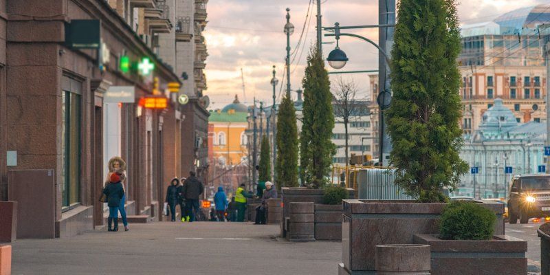 Ёлки в вазонах vs тротуары: горожане решат, как озеленять улицы