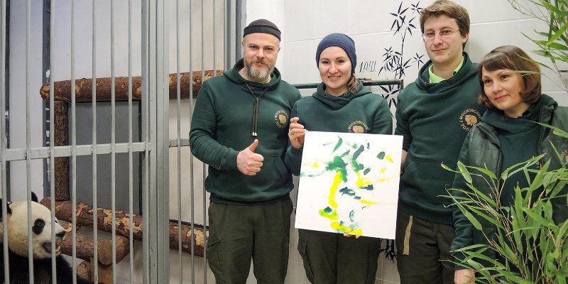 Лапа мастера: большие панды в Московском зоопарке начали учиться рисованию