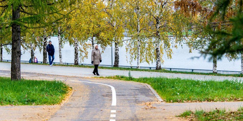 Березы, ивы, рябины: в парке 850-летия Москвы начали высаживать деревья