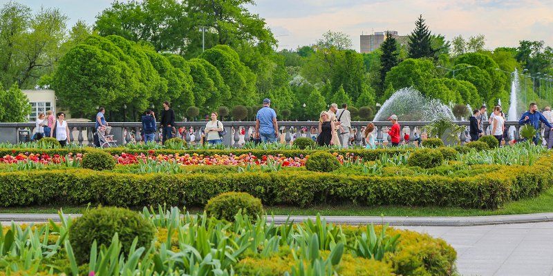 Зеленое сердце столицы: как благоустраивают парки Москвы