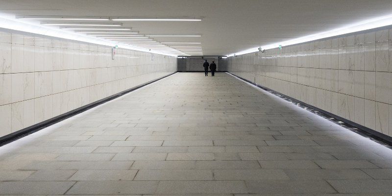 Парк «Остров мечты» и станцию «Технопарк» соединят переходом