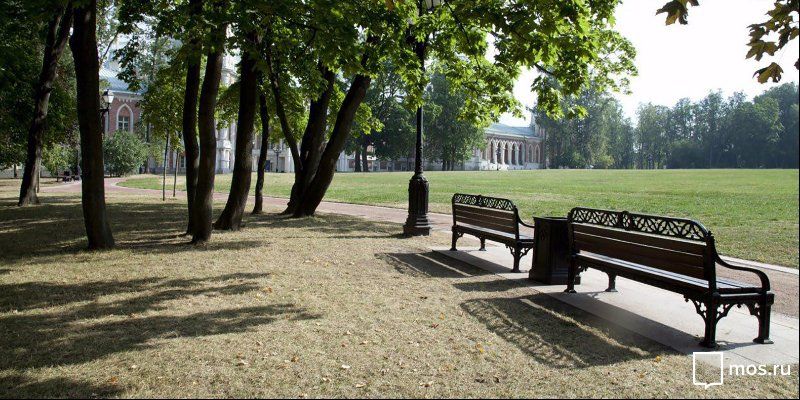 В «Царицыне» появится терренкур — маршрут для лечебной ходьбы