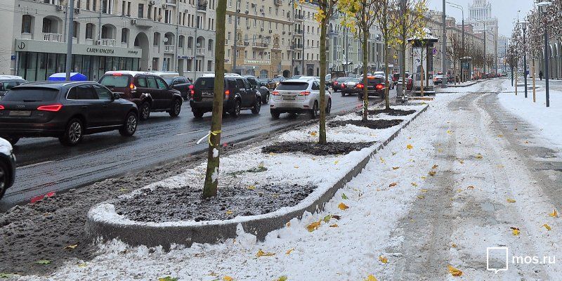 В Москве ожидается усиление ветра и гололедица