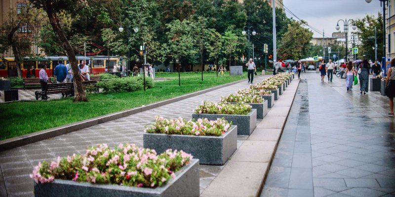 К середине недели в Москву вернутся дожди и прохладная погода