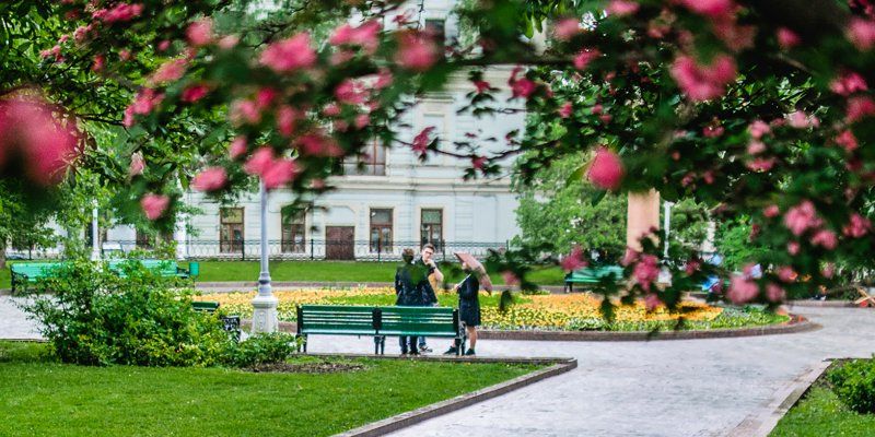 Дожди с грозами продолжатся в субботу