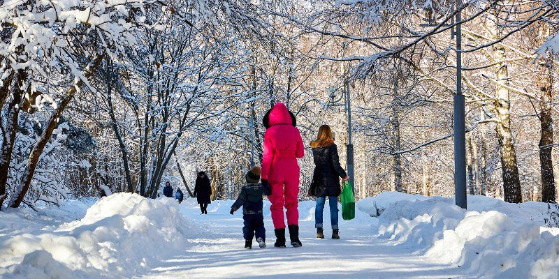 Порывистый ветер и гололедица: прогноз погоды на понедельник