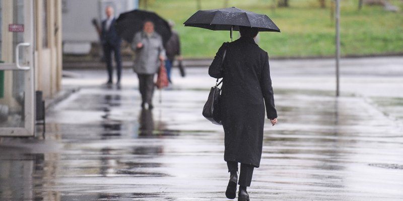 Непогода в Москве. МЧС предупреждает о дожде и сильном ветре