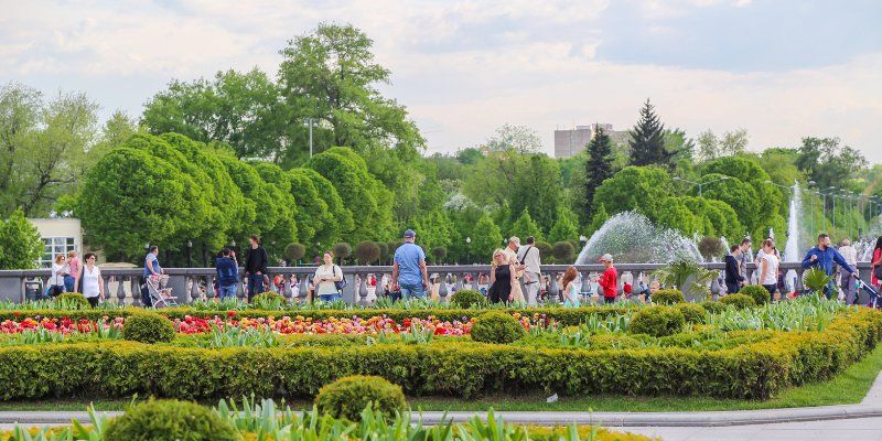 Это — лето: прогноз погоды на ближайшие дни