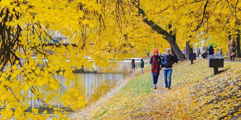 Местами дождь: прогноз погоды на ближайшие дни
