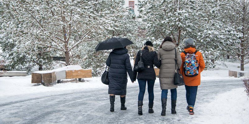 Какой будет погода в выходные