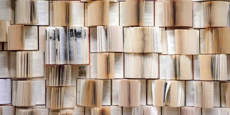 Дискуссии и мультимедийные перформансы: что еще ждет участников проекта «Text/текст»
